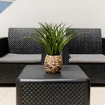 Ocean View Apartment